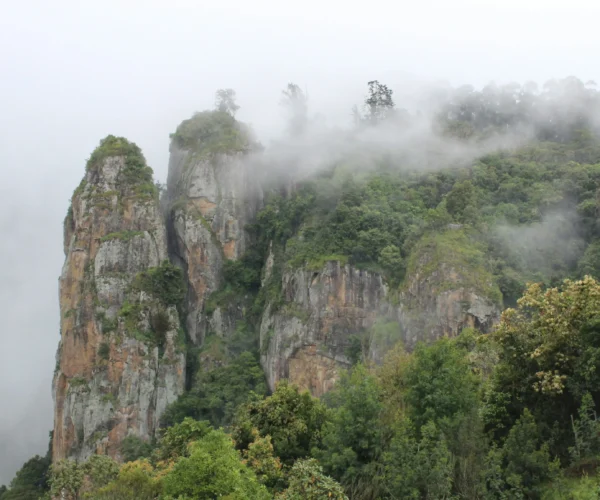 Kodaikanal Tour Package | 3 Days 2 Nights Kodaikanal Holiday Package | SD Holidays