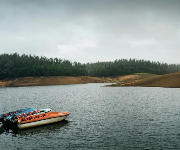 Ooty Tour Package | 3 Days 2 Nights Ooty Holiday Package | SD Holidays