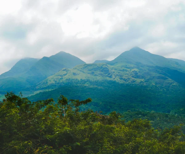 Wayanad Tour Package | 3 Days 2 Nights Wayanad Holiday Package | SD Holidays